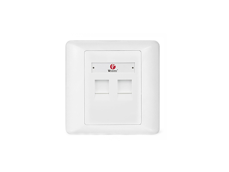 2-Port Wall Plate