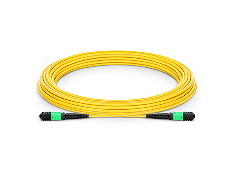 MPO Indoor Fiber Optic Patch Cord